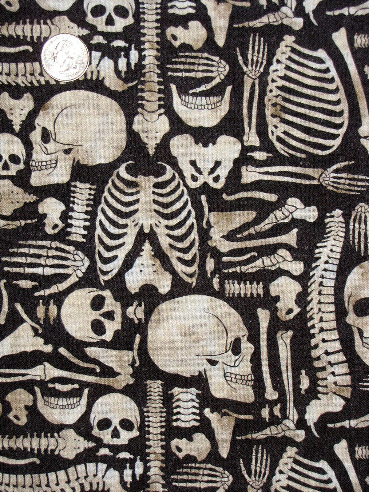 Halloween Skeleton Bone Yard Black Springs Creative Cotton Fabric