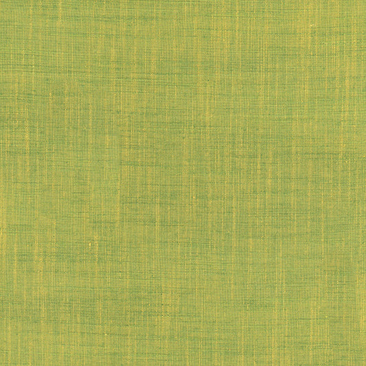 Handloom Harvest Green Yarn Dyed Woven Tara Faughnan Windham Fabrics Cotton Fabric WF-54870-22