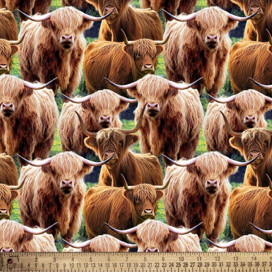 Highland Cows Multi David Textiles Cotton Fabric DT-DX-6664-4C-1