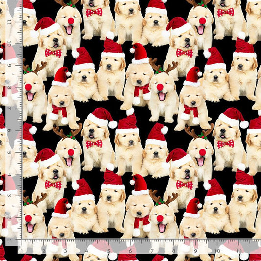 Holiday Favorites Lab Puppies Black Timeless Treasures Cotton Fabric TT-HOLIDAY-CD3468-BLACK