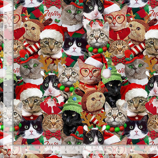 Holiday Favorites Packed Holiday Cats Multi Timeless Treasures Cotton Fabric TT-HOLIDAY-CD3498-HOLIDAY