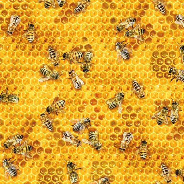 Honeycomb Honey Bees and Beehives Elizabeth's Studio Cotton Fabric