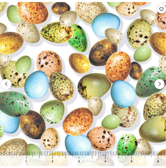Hummingbird Garden Eggs White Quilting Treasures Cotton Fabric