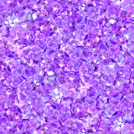 Hydrangea Blooms Hydrangea Petals Purple Carol Cavalaris Quilting Treasures Cotton Fabric