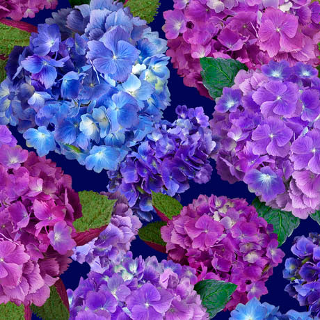 Hydrangea Blooms Packed Hydrangeas Multi Carol Cavalaris Quilting Treasures Cotton Fabric