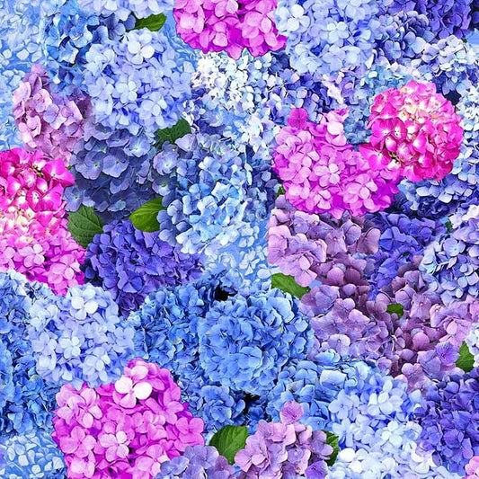 Hydrangea Dreams Spring Dream Multi Michael Miller Cotton Fabric