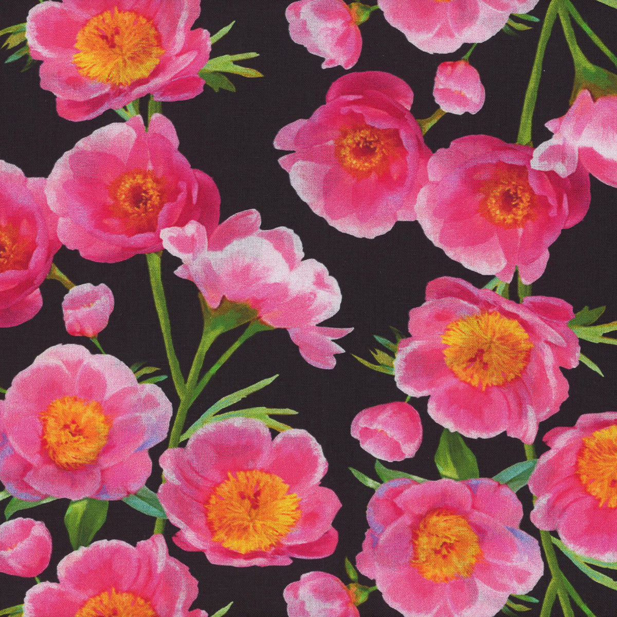 Hydrangea Garden Poppies Black Jenni Lee Studio E Cotton Fabric