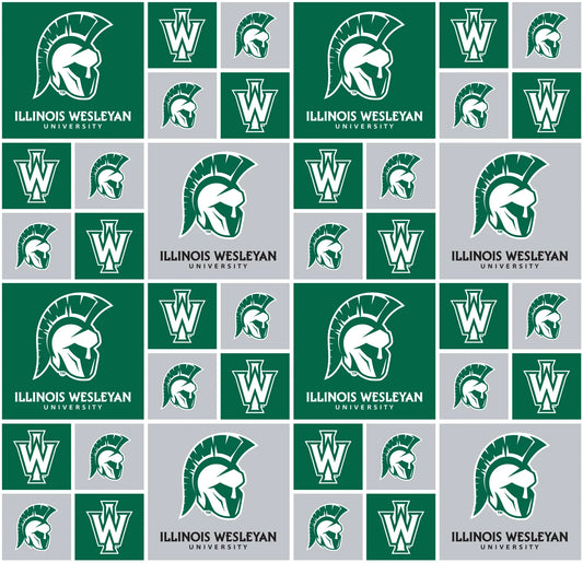 Illinois Wesleyan Titans NCAA College Geometric Box Sykel Enterprises Cotton Fabric ILW-020