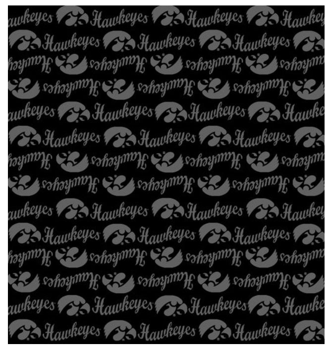 Iowa Hawkeyes NCAA College Back on Black Mini Pigment Print Sykel Enterprises Cotton Fabric IA-1393-BL