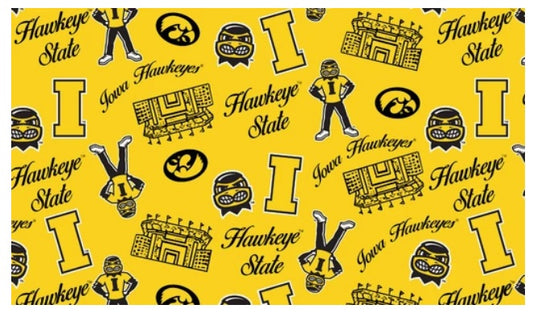 Iowa Hawkeyes NCAA College Mini Stadium Logo Sykel Enterprises Cotton Fabric IA-1389