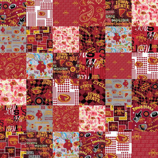 Iowa State Cyclones NCAA College Cheater Quilt Allover 60" Sykel Cotton Fabric