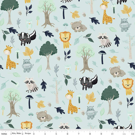 It's a Boy Main Yardage Aqua Echo Park Paper Co. Riley Blake Designs Cotton Fabric