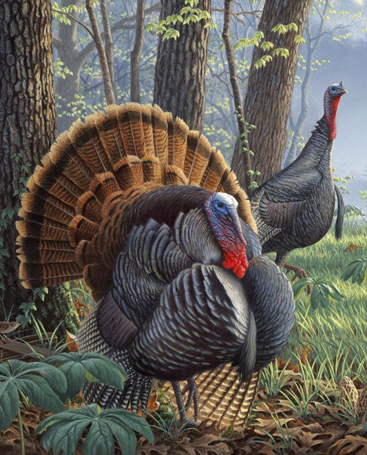 Wild Turkey Portrait design Panel 36" David Textiles Cotton Fabric