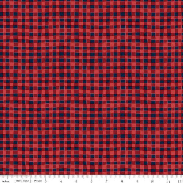 Love You S'more Gingham Red Gracey Larson Riley Blake Designs Cotton Fabric