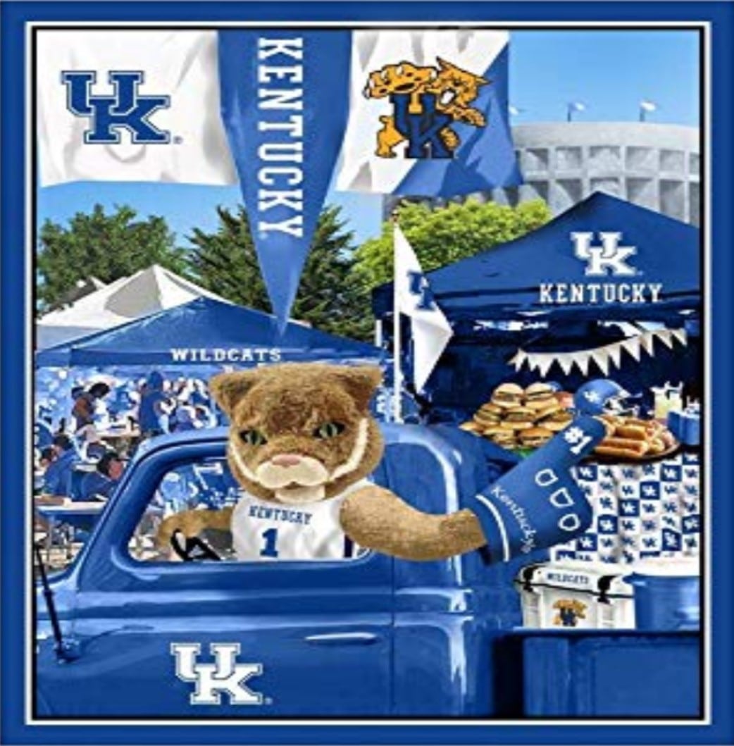 Kentucky Wildcats NCAA College UK Tailgate Panel Cotton Fabric