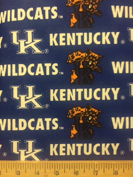 Kentucky Wildcats NCAA College Sykel Canvas Twill 58" Fabric