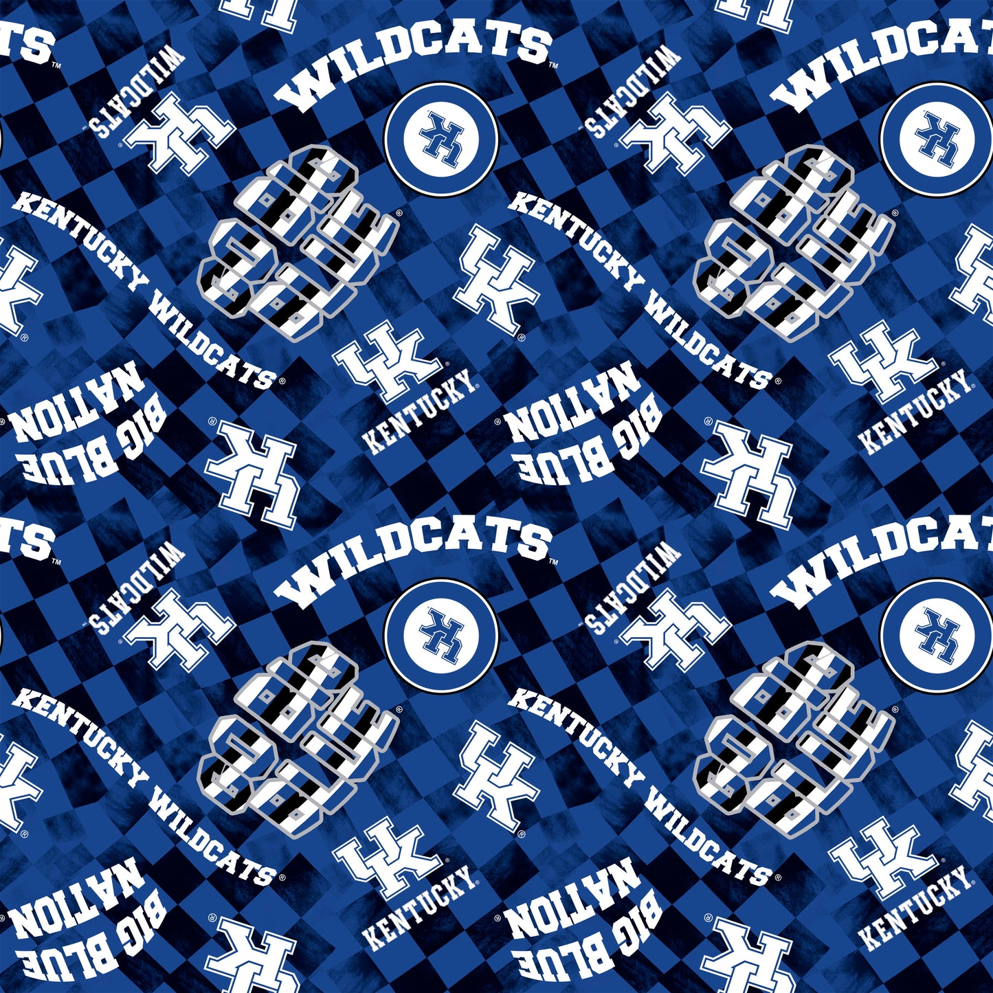 Kentucky Wildcats NCAA College Checks Royal Sykel Enterprises Canvas Duck Cloth Cotton Fabric KY-1380-ROYAL