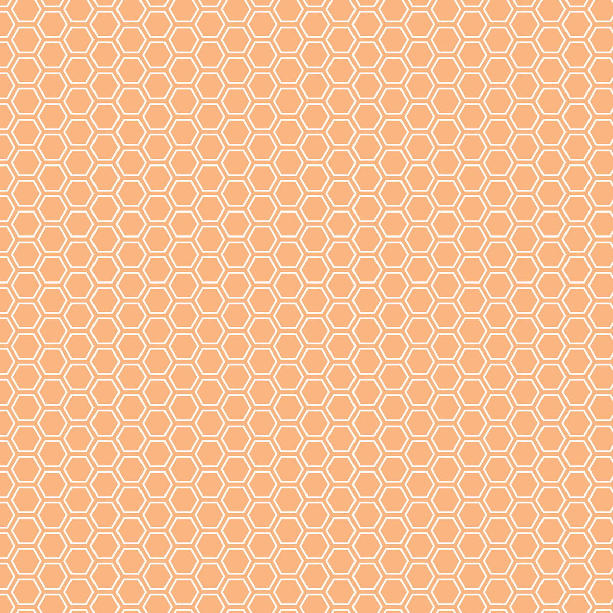 Kimberbell Basics Honeycomb White Orange Kim Christopherson Maywood Studio Cotton Fabric MS-8256-O