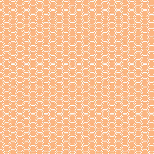 Kimberbell Basics Honeycomb White Orange Kim Christopherson Maywood Studio Cotton Fabric MS-8256-O