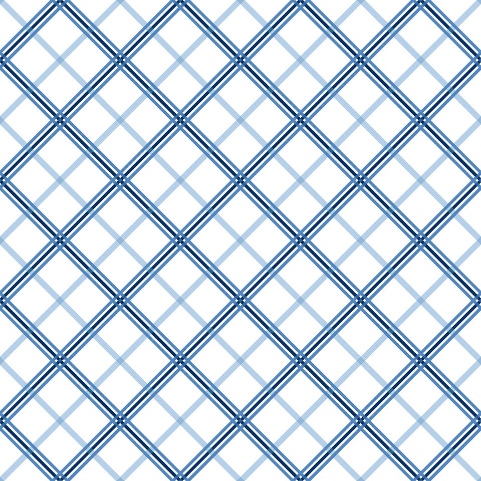 Kimberbell Basics Plaid Blue White Kim Christopherson Maywood Studio Cotton Fabric MS-8262-B