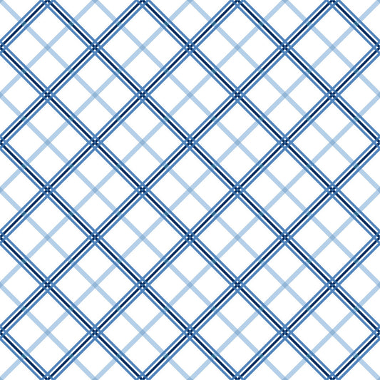 Kimberbell Basics Plaid Blue White Kim Christopherson Maywood Studio Cotton Fabric MS-8262-B