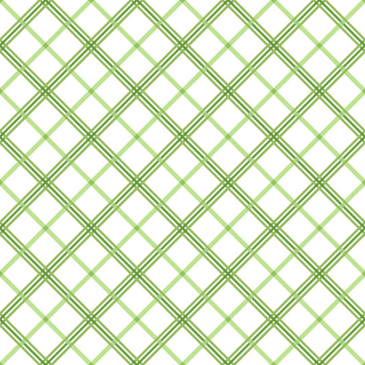 Kimberbell Basics Plaid Green White Kim Christopherson Maywood Studio Cotton Fabric MS-8262-G