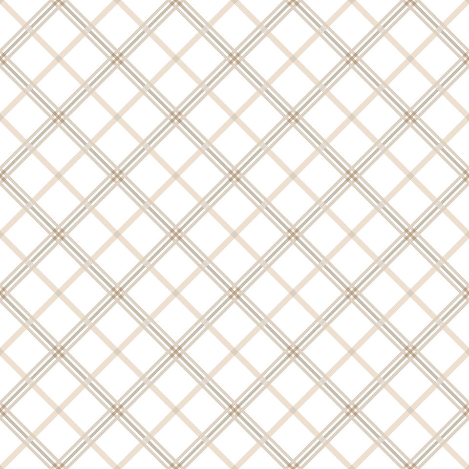 Kimberbell Basics Plaid Taupe Cream Kim Christopherson Maywood Studio Cotton Fabric MS-8262-E