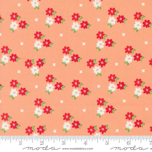 Laguna Sunrise Morning Glory Florals Cantaloupe Orange Sherri & Chelsi Moda Cotton Fabric