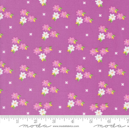 Laguna Sunrise Morning Glory Florals Violet Sherri & Chelsi Moda Cotton Fabric