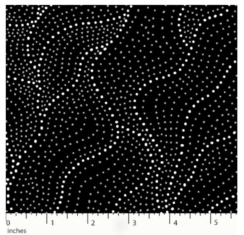 Land of Utopia Black Anna Pitjara M&S Textiles Australia Cotton Fabric MSTA-LUTB-Black | US Fabric Shop