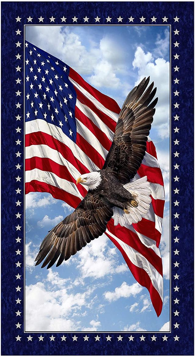 Land of the Free Patriotic Eagle Panel 24" Ti meless Treasures Cotton Fabric