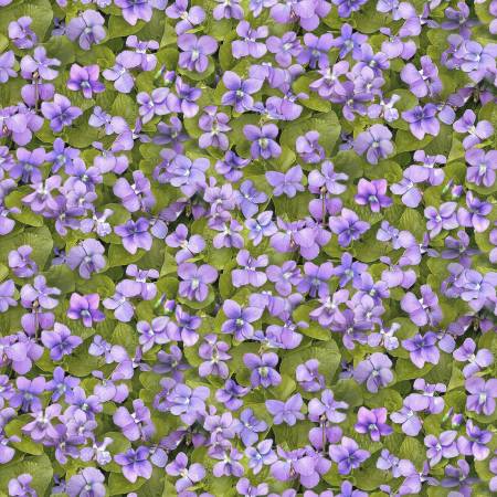 Landscape Medley Packed Violets Elizabeth Studio Cotton Fabric