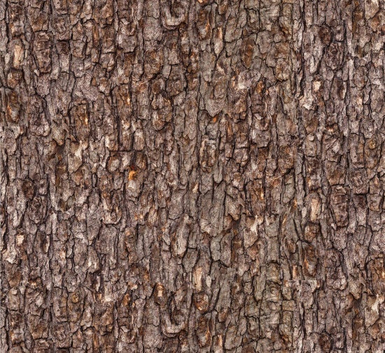 Landscape Medley Out on a Limb Brown Elizabeth's Studio Cotton Fabric