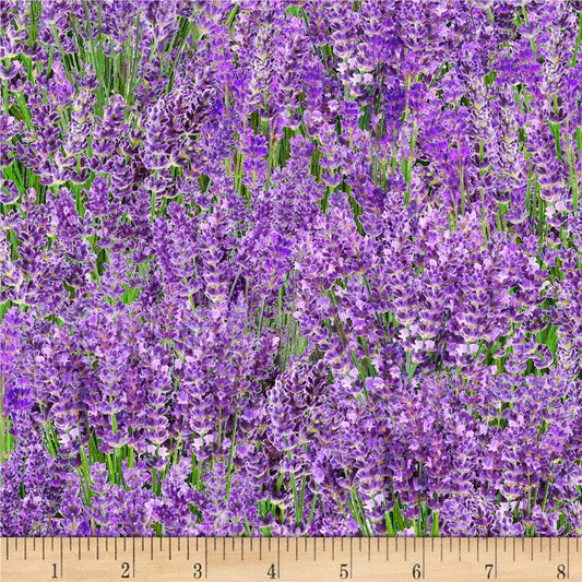 Lavender Floral Fields Landscape Medley Elizabeth's Studio Cotton Fabric