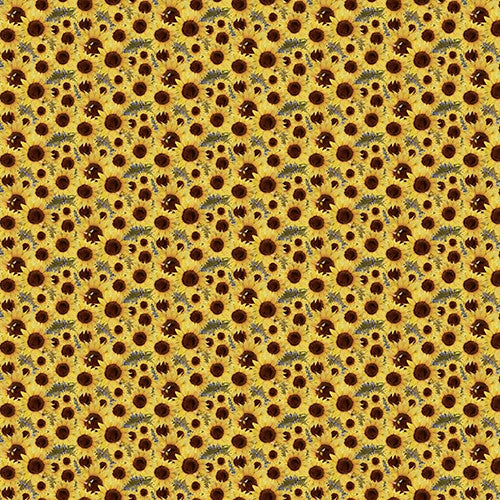 Locally Grown Sunflower Field Yellow Beth Albert 3 Wishes Cotton Fabric