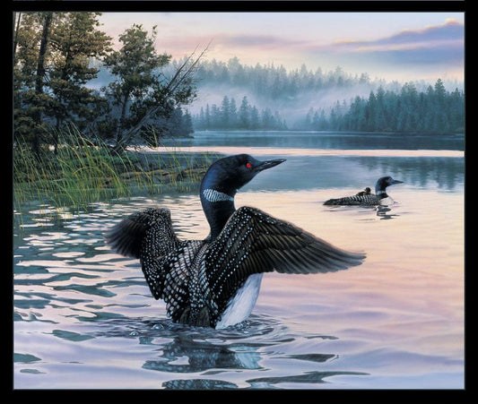 Loons Panel 36” Darrell Bush Collection Elizabeth's Studio Cotton Fabric