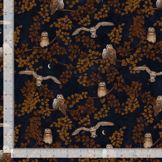 Mad Scientist Night Owl Night Blue Rosie Dore Timeless Treasures Cotton Fabric TT-ROSIE-CD2487-NIGHT