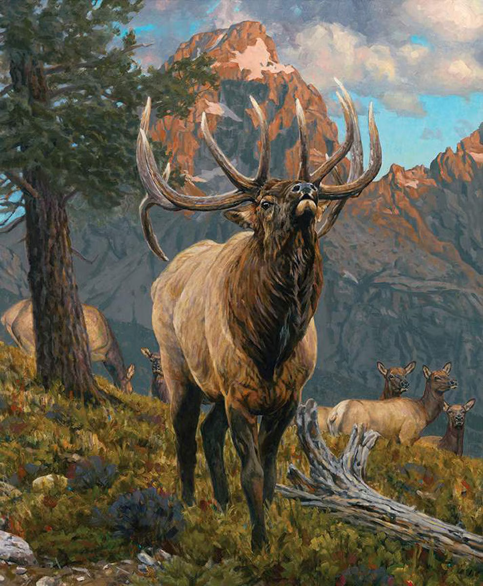 Majestic Nature Grand Elk Panel 36" Riley Blake Designs Cotton Fabric RB-PD15980-PANEL