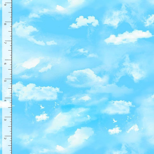 Meadow Bloom Cloud Sky Blue Chong-A-Hwang Timeless Treasures Cotton Fabric TT-MEADOW-CD3958-BLUE