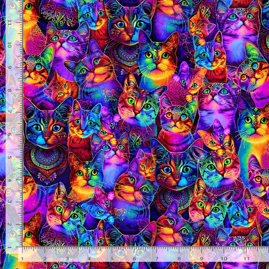Meow You Doing Packed Rainbow Cats Multi Chong-A Hwang Timeless Treasures Cotton Fabric TT-CAT-CD3031-MULTI