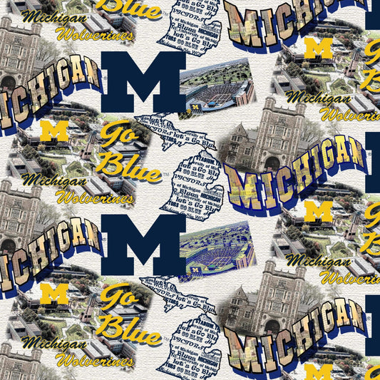 Michigan Wolverines NCAA College Map Sykel Cotton Fabric