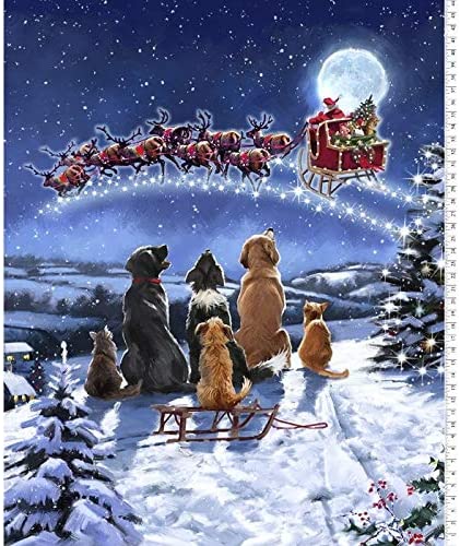 Midnight Meeting - Christmas Pets & Santa Panel 36" Cotton Fabric