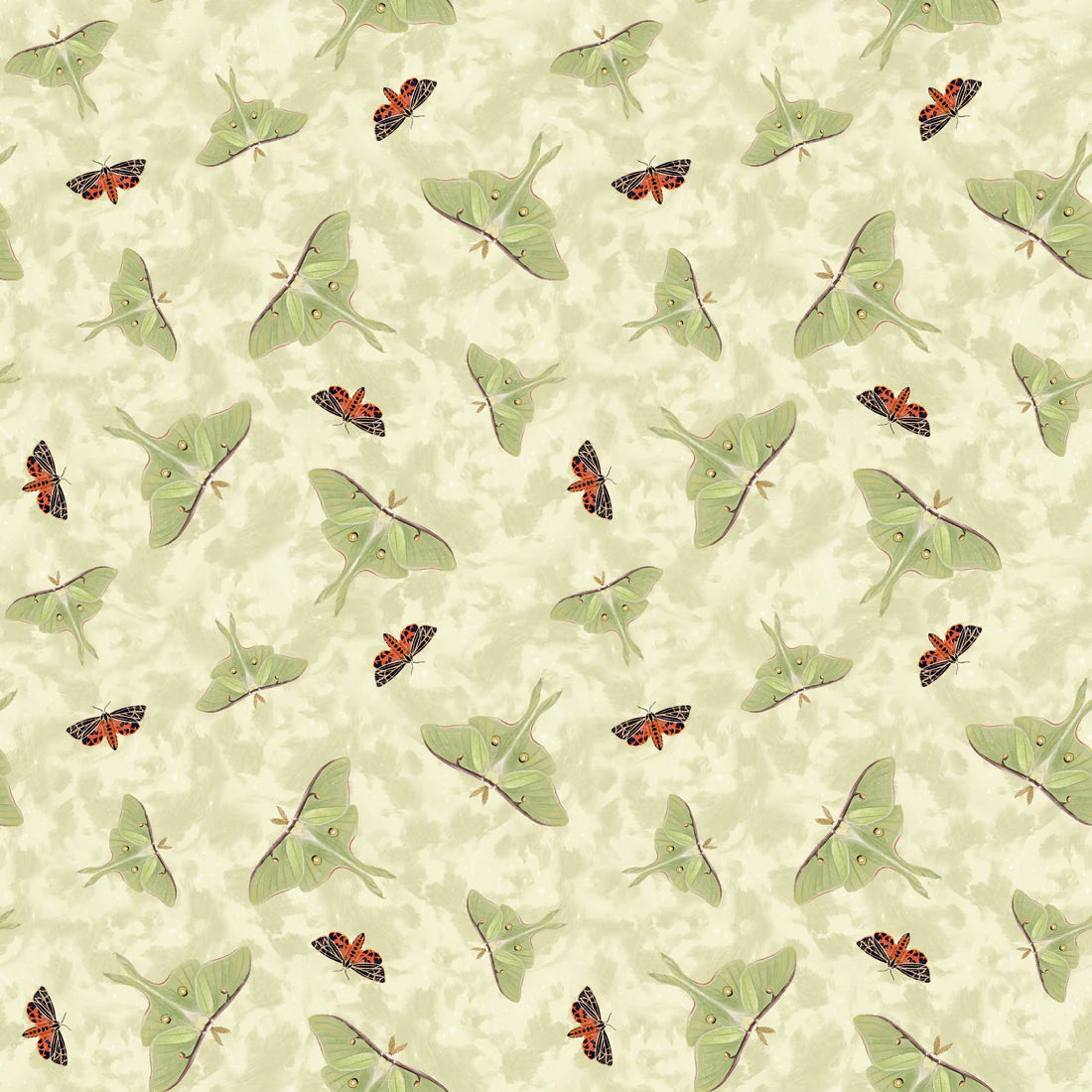 Midnight Rendezvous Moths Tossed Ivory Cream Raquel Maciel Blank Quilting Cotton Fabric