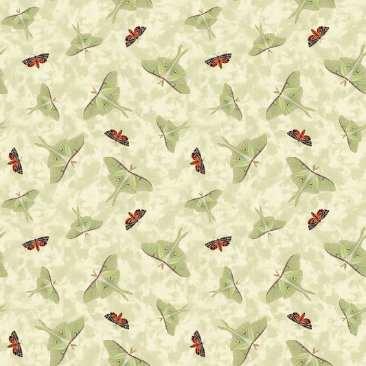 Midnight Rendezvous Moths Tossed Ivory Cream Raquel Maciel Blank Quilting Cotton Fabric