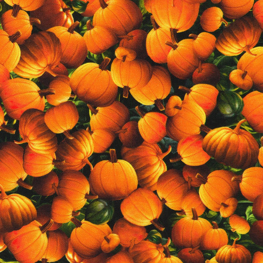 Moon Spell Pumpkin Packed Pumpkin Orange Claudia McKinney Robert Kaufman Cotton Fabric RK-APYD-23694-148