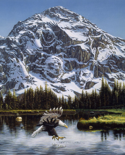 Mountain Majesty Snowy Panel 35.5" David Textiles Cotton Fabric DT-AL-4135-0C-1