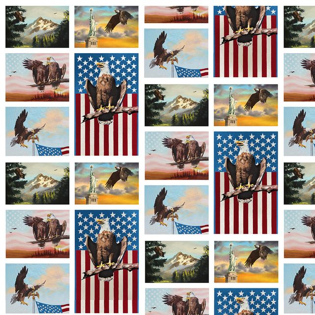National Emblem Patriotic Patchwork White D Rusty Rust Blank Quilting Cotton Fabric