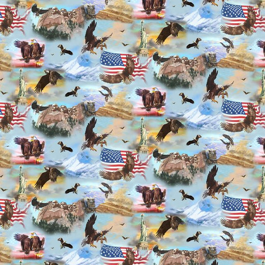 National Emblem Scenic Sky Blue D Rusty Rust Blank Quilting Cotton Fabric