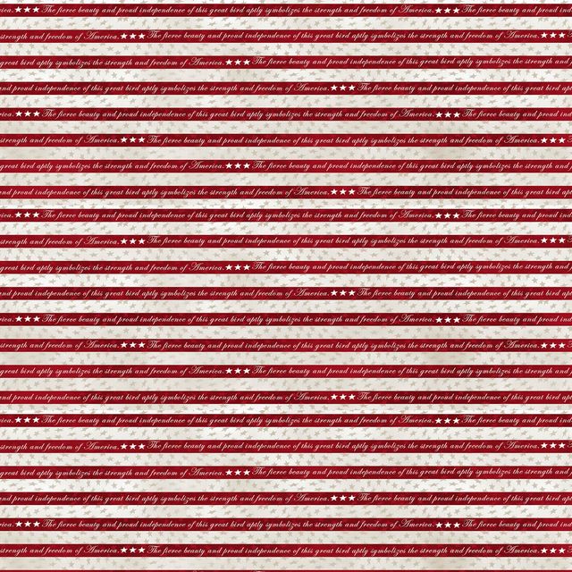 National Emblem Wordy Stripe Red D Rusty Rust Blank Quilting Cotton Fabric