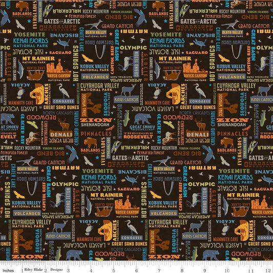 National Parks Word Print Black Anderson Design Group Riley Blake Cotton Fabric RB-C8784-BLACK
